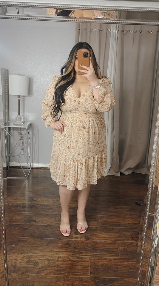 Plus Honey Dress