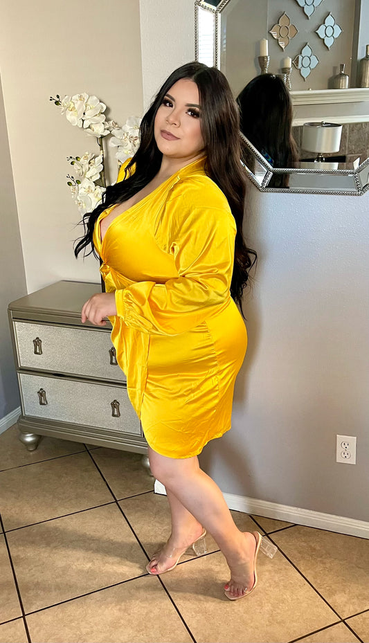 Plus Sunshine Dress